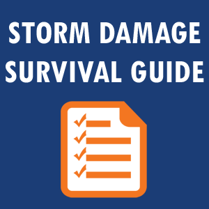 Storm Damage Survival Guide and Tips