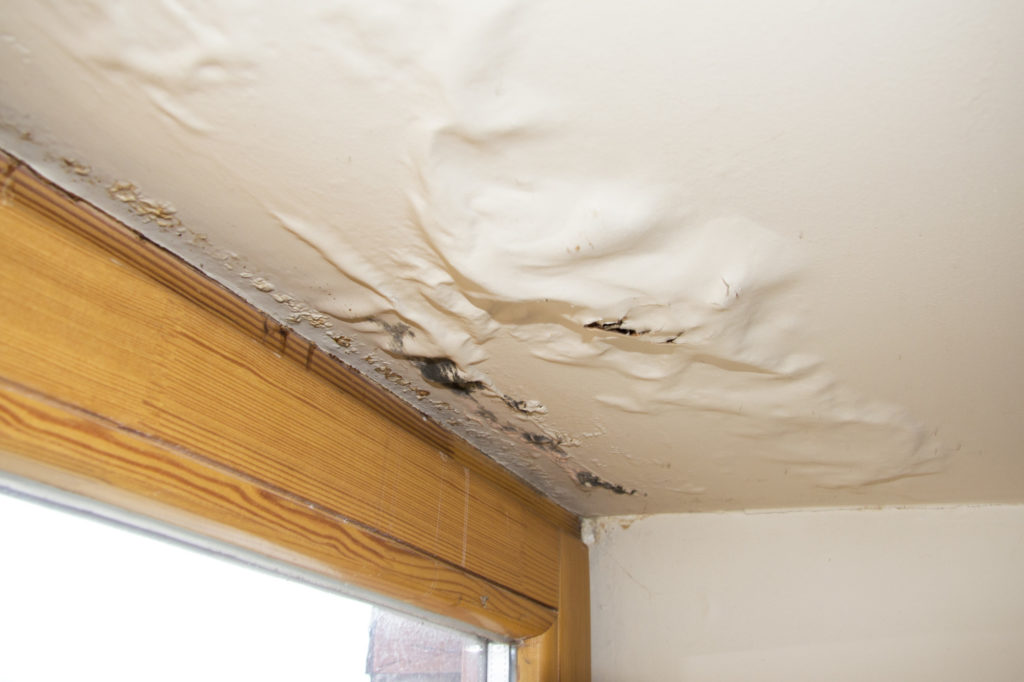 What You Should And Shouldn’t Do When Dealing With Water Damage
