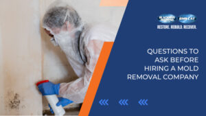 Here's What You Need to Do After Your Mold Remediation