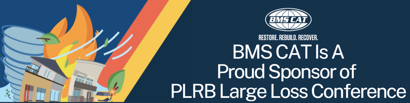 PLRB LARGE LOSS SPONSOR